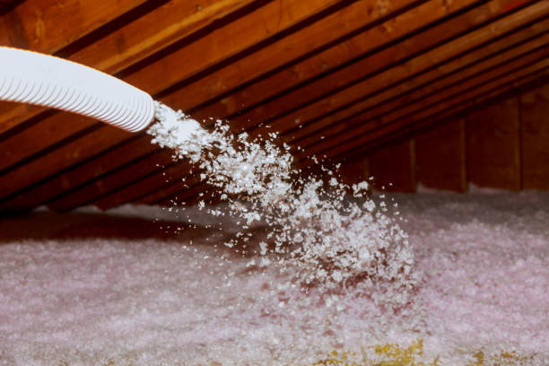 Best Energy Efficiency Solutions in Country Squire Lakes, IN