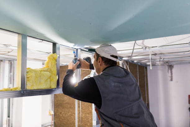Best Insulation Maintenance and Repair in Country Squire Lakes, IN